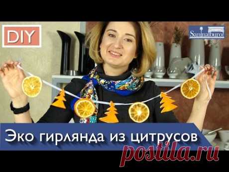 Сушка цитрусов и КАК СДЕЛАТЬ ГИРЛЯНДУ своими руками на новый год. Новогодние поделки Катерина Санина