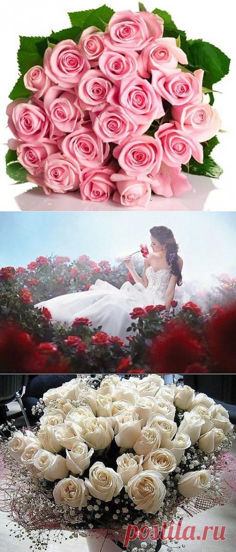 Одноклассники