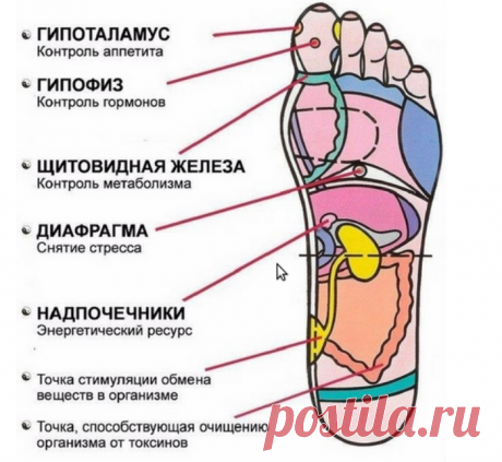 7 активных точек на стопе, массаж которых приведет вас в чувство за пару минут
