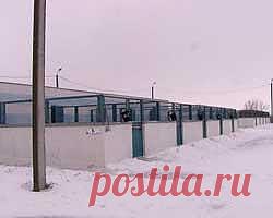 В немецком приюте мёрзнут животные | ZOODOM