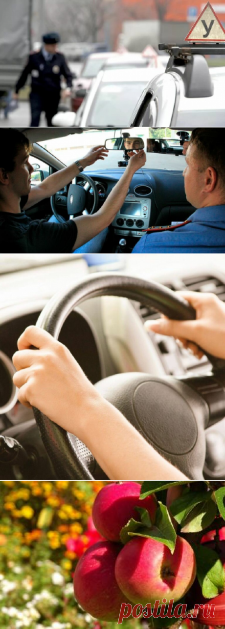 Экзамен на получение водительского удостоверения упростится
  Многие из нас сдавали экзамены в ГИБДД на получение заветного водительского удостоверения. Многим еще предстоит эта увлекательная процедура, связанная со стрессом. Но в правила сдачи на заветные «права» в ведомстве внесли поправки. Глава МВД России Владимир Колокольцев23 марта утвердил новый регламент о приеме экзамена на водительские...
Читай дальше на сайте. Жми подробнее ➡