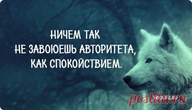 40 мудрых цитат Уинстона Черчилля
Уинстон Черчиль — величайший британец в истории мира! Кем он только не был — солдатом, писателем, художником, спортсменом, историком и политиком! Мы подготовили для вас подборку мудрейших цитат этого великого человека! Читайте и наполняйтесь мудростью вместе с нами! Если вы идете сквозь ад – идите, не останавливаясь. Любой кризис – это новые возможности. Умный человек […]
Читай дальше на сайте. Жми подробнее ➡