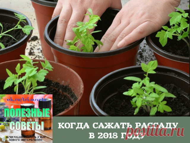КОГДА САЖАТЬ РАССАДУ В 2018 ГОДУ - КАЛЕНДАРЬ ПОСАДКИ РАССАДЫ
