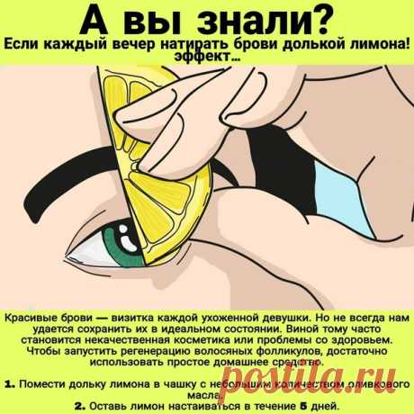 ⠀
Красивые брови — визитка каждой ухоженной девушки.