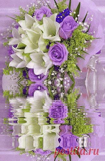 Живые фотографии – Живые картинки – Сообщество – Google+