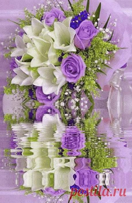 Живые фотографии – Живые картинки – Сообщество – Google+