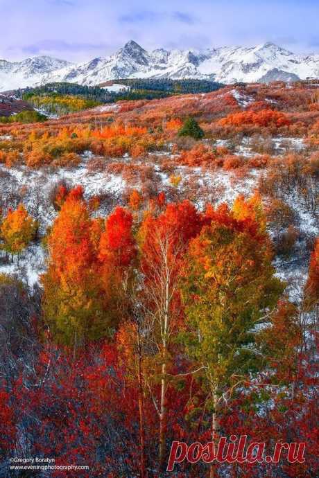 Dallas Divide, Colorado | Autumn