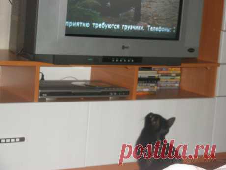 И что интересного?