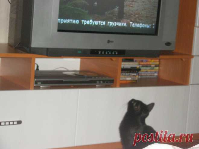 И что интересного?