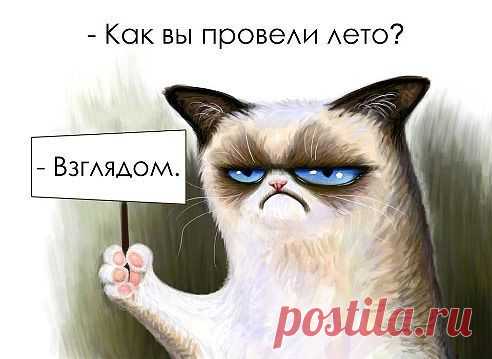 Татьяна Васильева(Шадрина)
32 года, Беларусь, Гродно