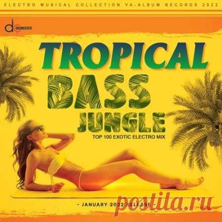 Tropical Bass: Exotic Jungle Mix (2022) Мы представляем вашему вниманию сборник «Tropical Bass: Exotic Jungle Mix», напичканый творчески сформированными музыкальными композициями, которые помогут добавить экзотического музыкального оттенка к вашему персональному плей-листу.Категория: CompilationИсполнитель: Various ArtistНазвание: