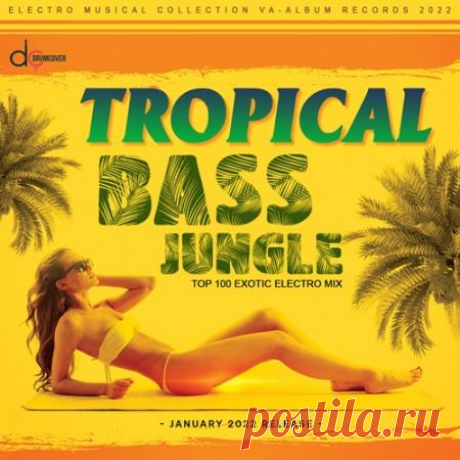Tropical Bass: Exotic Jungle Mix (2022) Мы представляем вашему вниманию сборник «Tropical Bass: Exotic Jungle Mix», напичканый творчески сформированными музыкальными композициями, которые помогут добавить экзотического музыкального оттенка к вашему персональному плей-листу.Категория: CompilationИсполнитель: Various ArtistНазвание: