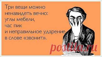 звонИт