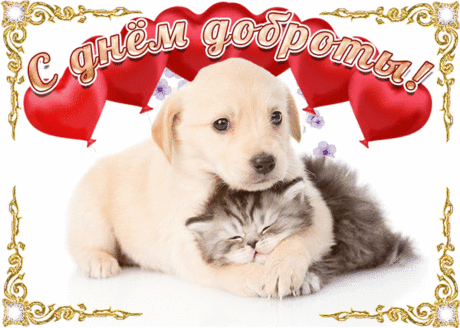 С Всемирным Днём доброты! 
Пускай удача в дверь стучится,
И любят близкие, и ждут,
Подарит жизнь тепло на лицах
И больше радостных минут!