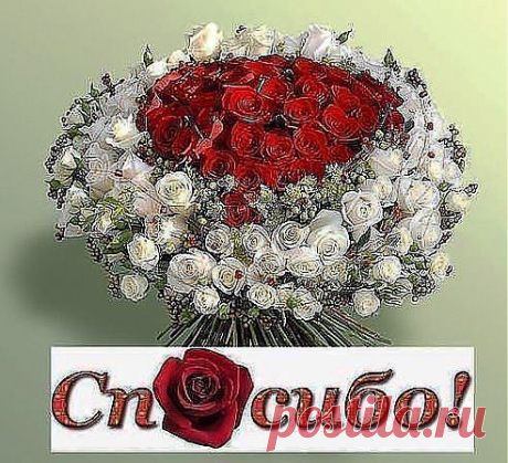 открытка
