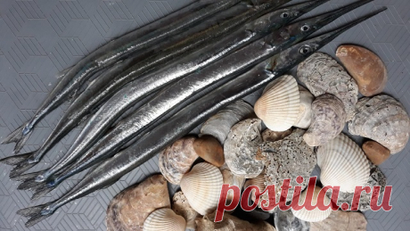 Сарган - что за рыба, где водится, описание, как приготовить