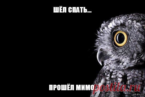 Gallery.ru / Фото #31 - О наболевшем. Про недосып :) - Inari