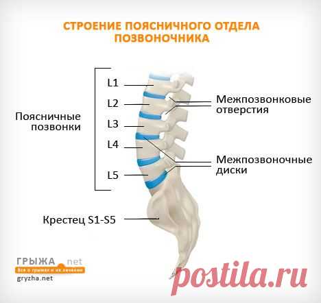 Здоровье позвоночника. Причины онемения и жжения в бедре