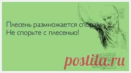 Фотографии на стене сообщества | 32 779 фотографий