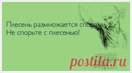 Фотографии на стене сообщества | 32 779 фотографий