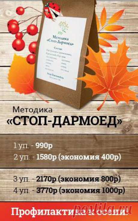 Методика &quot;Стоп Дармоед&quot;: отзывы, инструкция, состав