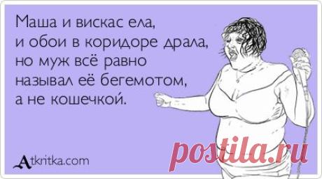 Маша и вискас ела, и обои в коридоре драла, но муж всё равно называл её бегемотом, а не кошечкой. / открытка №50301 - Аткрытка / atkritka.com