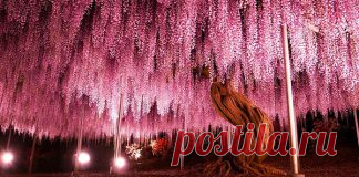 О мужской твердости. Во всех смыслах - Фитнес для мозга