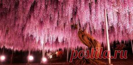 О мужской твердости. Во всех смыслах - Фитнес для мозга