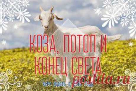 Коза, потоп и Конец света: чего ждать в 2015 году