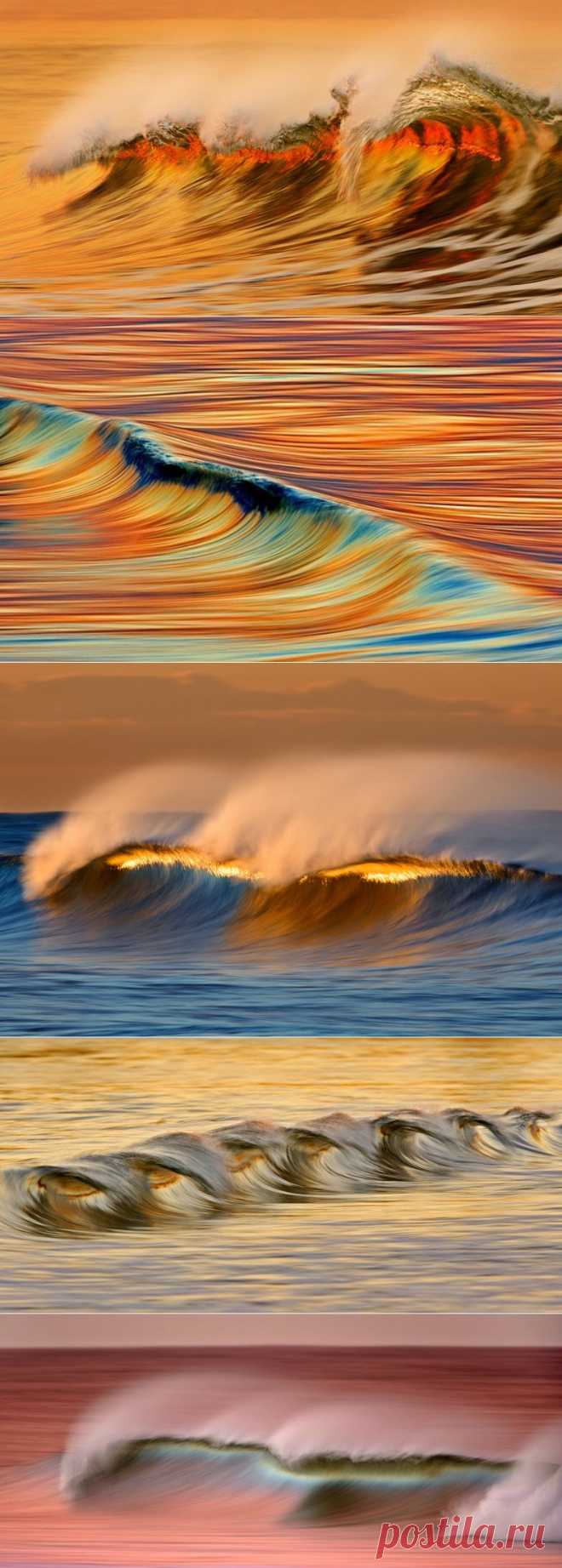 Золотые волны Калифорнии / Туристический спутник