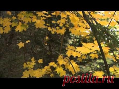 Микаэл Таривердиев - Осень