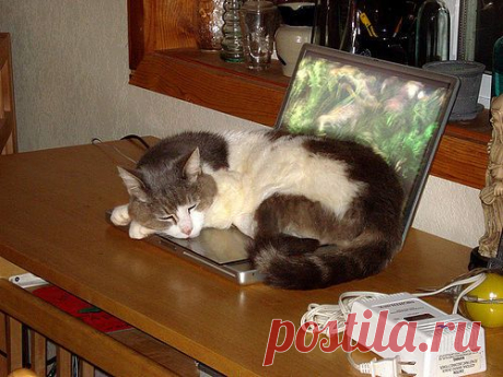 ....ВСЁ для ДАМОЧЕК !!!&quot;&quot;
Елена Елена