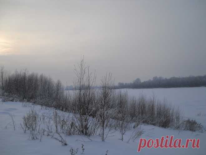 Фото Без названия. Альбом Мир,в котором я живу... - 132 фото. Фотографии Сергей Мартынов.