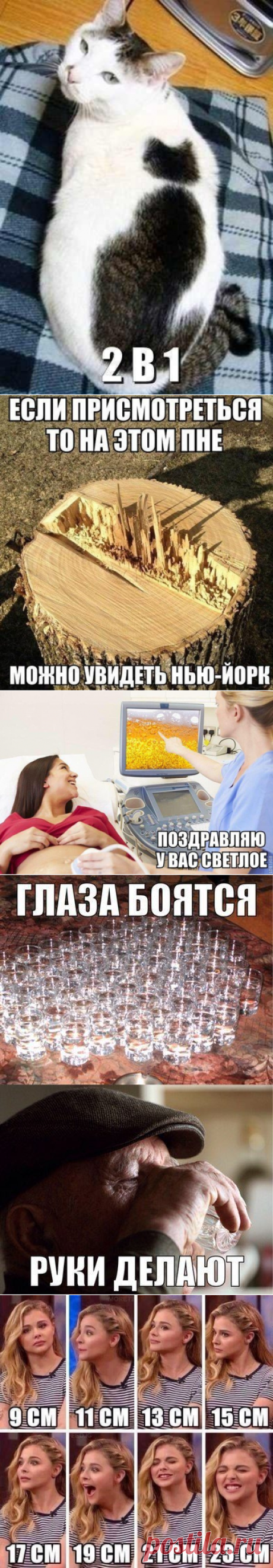 30 фраз в картинках, которые зарядят вас хорошим настроением / Писец - приколы интернета
