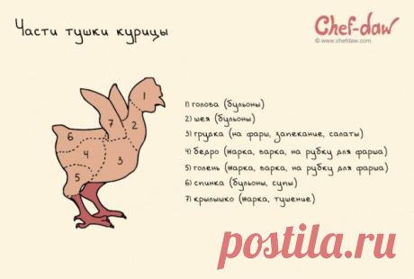 20 жизненоважных кухонных шпаргалок, которые сделают из вас шеф-повара экстра класса