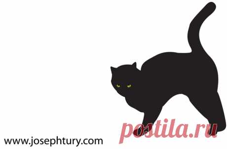 Black-Cat-Silhouette_32492.jpg (700×459)