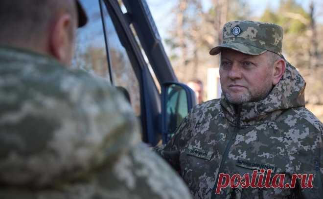 Помощник Залужного погиб от спрятанной в подарке бомбы. Помощник Залужного в свой день рождения погиб от взрывного устройства, которое было спрятано в пакет с бутылкой алкоголя и рюмками в виде гранат. Залужный подчеркнул, что погибший был для него близким другом и «надежным плечом»