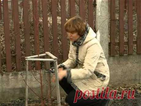 Персик. Обрезка. Тетянина садиба 2012 - YouTube