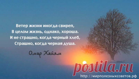 Омар Хайям о жизни и душе