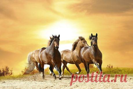 Интересные новости