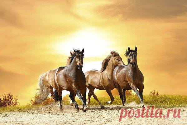 Интересные новости