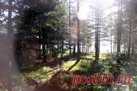 Делюсь опытом. Садовые дорожки...