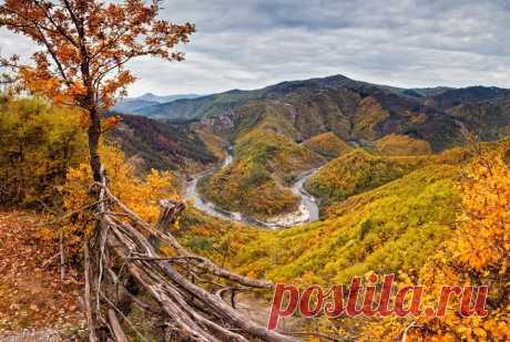 Աշուն էր, պայծառ աշուն…
Օդը մաքուր էր, արցունքի պես ջինջ։ Կապտավուն սարերին այնքան մոտ, այնքան պարզ էին երևում, որ հեռվից կարելի էր համրել նրանց մաքուր լանջերի բոլոր ձորակները, կարմրին տվող մասրենու թփերը։
Աշուն էր՝ տերևաթափով, արևի նվազ ջերմությամբ, դառնաշունչ քամիով, որ ծառերի ճղներից պոկում էր դեղնած տերևները, խմբերով քշում, տանում հեռու ձորերը։ Նույնիսկ քարափի հաստաբուն կաղնին խոնարհվում էր քամու առաջ։ Ամայի ձորերում, դեղնակարմիր անտառի և հնձած արտերի վրա իջել էր մի պայծառ տխրություն։