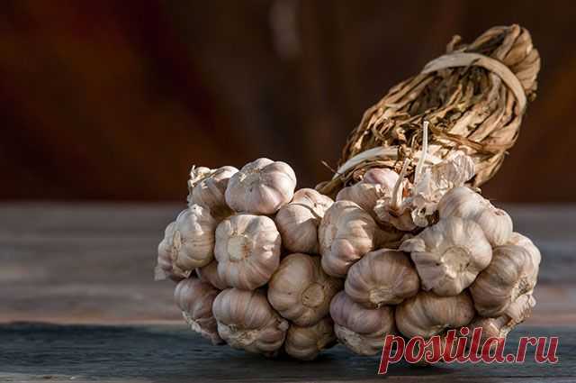 Запасы в квартире. Как хранить урожай дома? | Продукты и напитки | Кухня | Аргументы и Факты