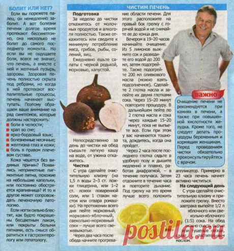 Симптомы заболевания печени. Чистим печень