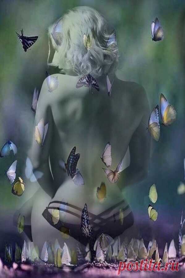 Lover Of All Things Serene : Photo