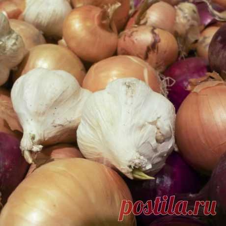 Не охлаждать! 12 продуктов, которые мы всё время хранили неправильно