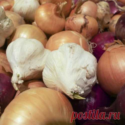 Не охлаждать! 12 продуктов, которые мы всё время хранили неправильно
