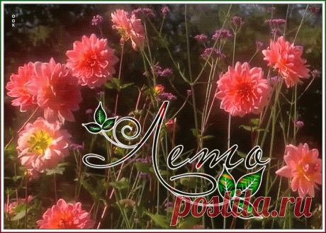 Прекрасная открытка с летом