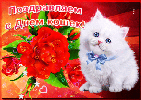 И кошкам здесь, и кошкам там,
И всем котятам, и котам:
Я вас с Днем кошек поздравляю,
Счастья кошачьего желаю.